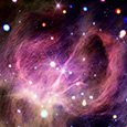 IC 348