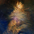 NGC 2264