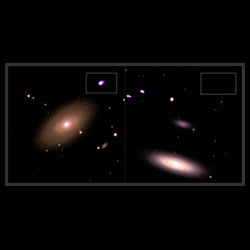 Black Hole Fractions