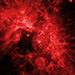 Click for large jpg