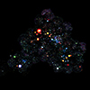 X-ray image