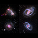 Celebrating NASA's Chandra and Swift Exploring Space Together