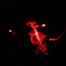 Click for large jpg
