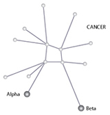 Cancer Constellation