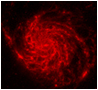 M101 Infrared