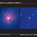 Galaxy Clusters