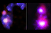 Tour: NASA's Chandra Discovers Giant Black Holes on Collision Course