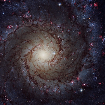 M74 Optical